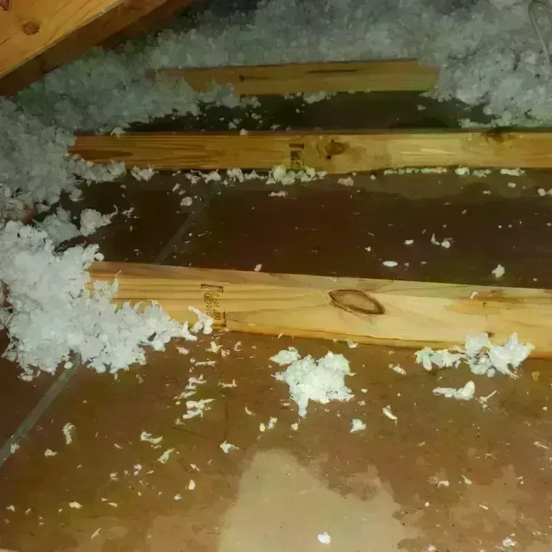 Attic Water Damage in Washington Park, IL