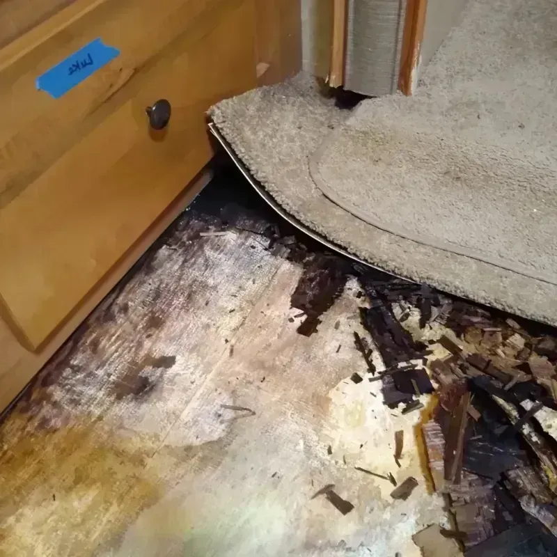 Best Wood Floor Water Damage Service in Washington Park, IL